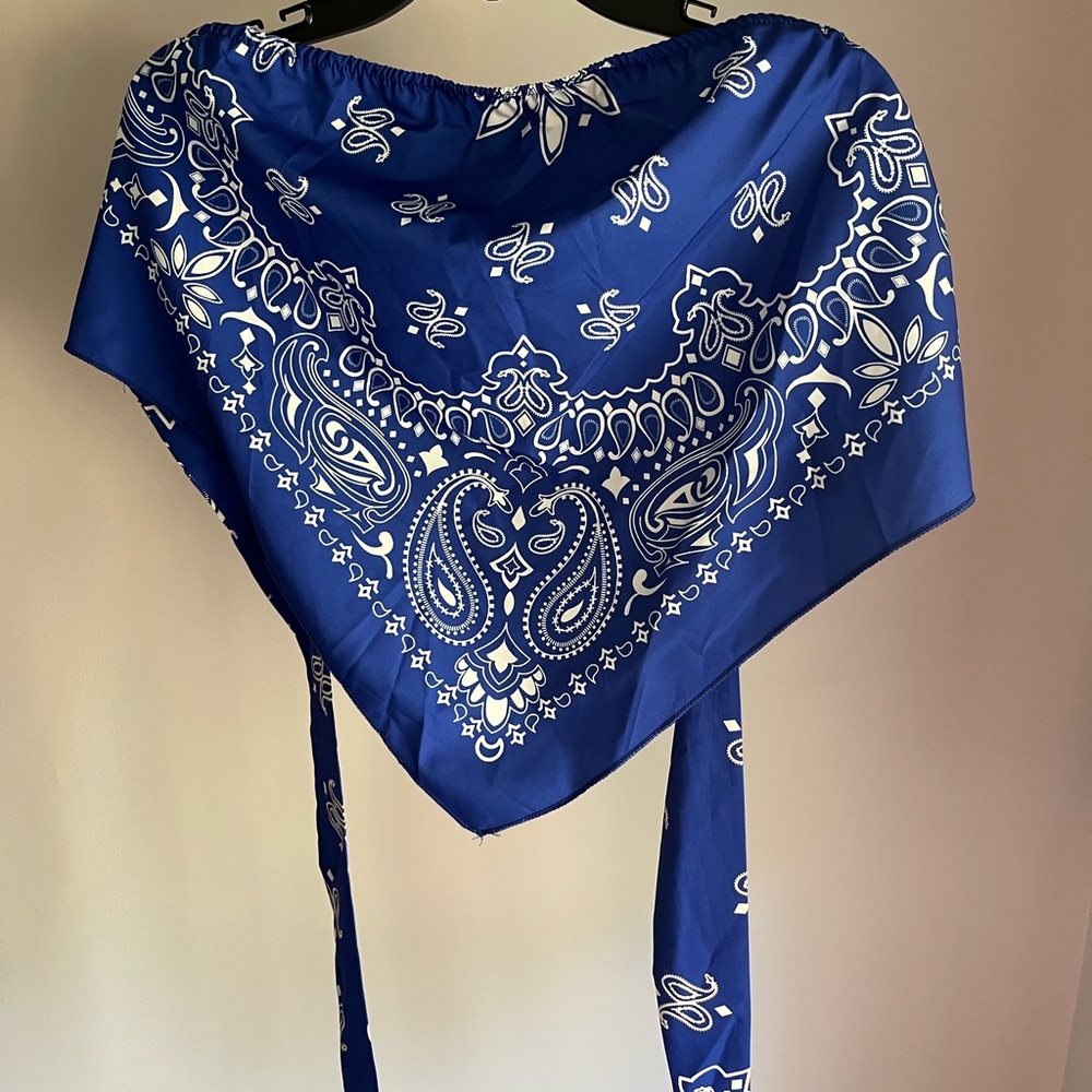 SHEIN Blue and White Curve Top